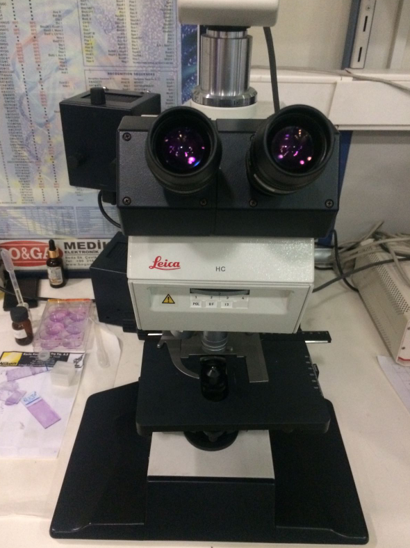 Işık mikroskobu-Fotoğraf